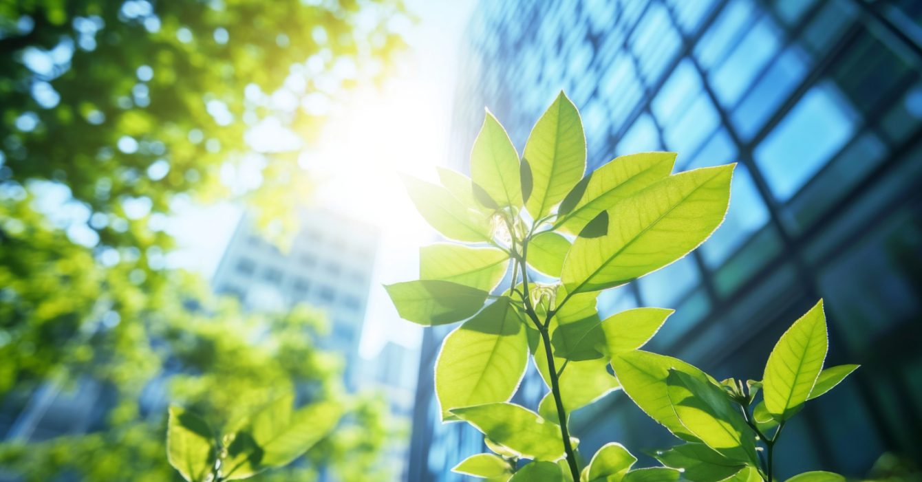 Emerging-Companies-Market Emerging-Companies-Market