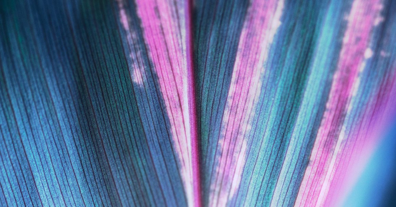 Shareholders-Dispute Shareholders-Dispute