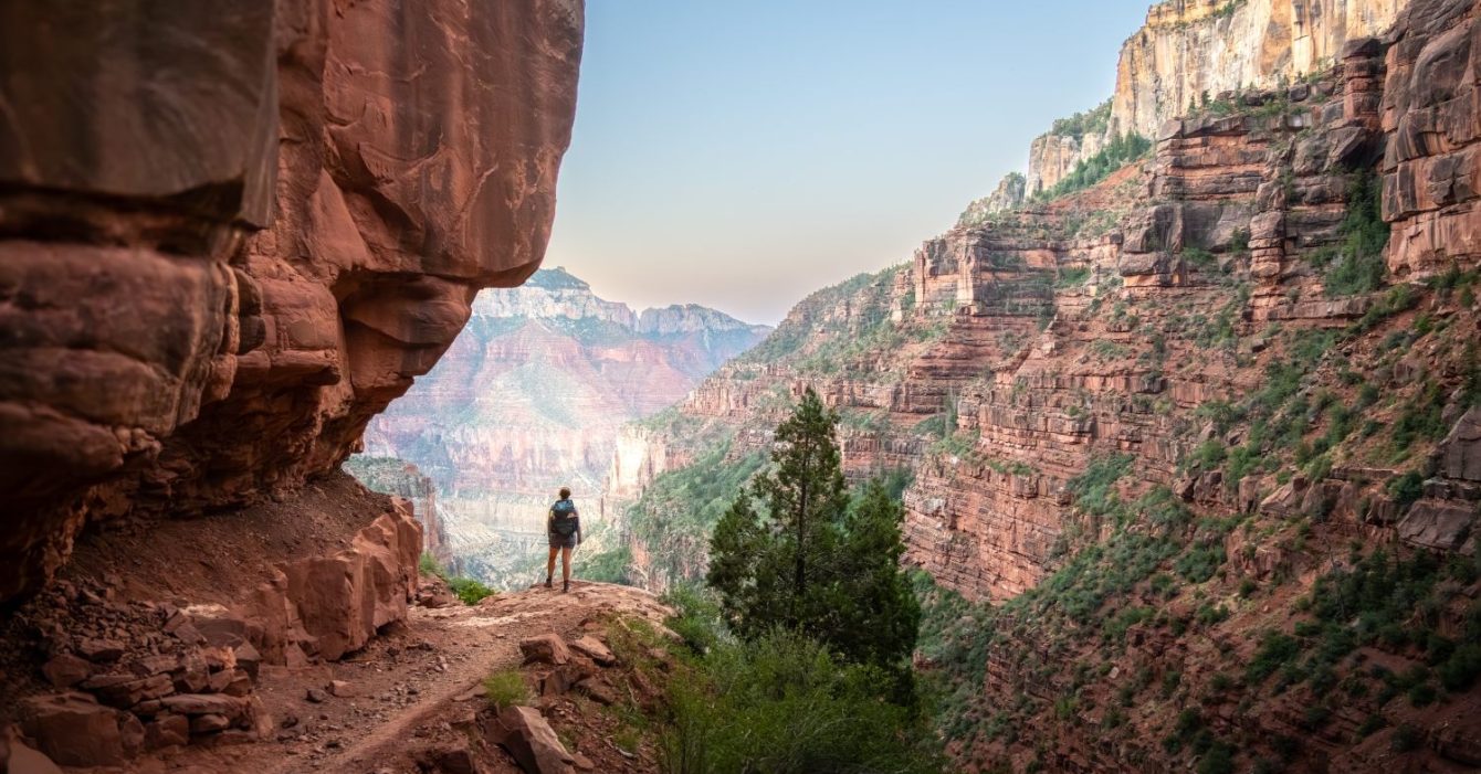 Hiker,Stands,At,An,Overlook,Along,North,Kaibab,Trail,Below