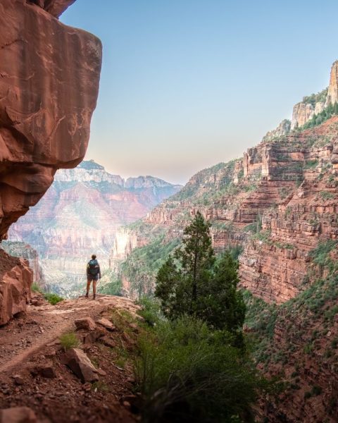 Hiker,Stands,At,An,Overlook,Along,North,Kaibab,Trail,Below Hiker,Stands,At,An,Overlook,Along,North,Kaibab,Trail,Below
