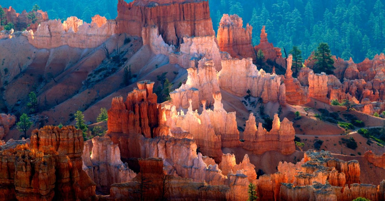 Beautiful,Colours,In,The,Canyon,,Bryce,Canyon,National,Park,,Utah,