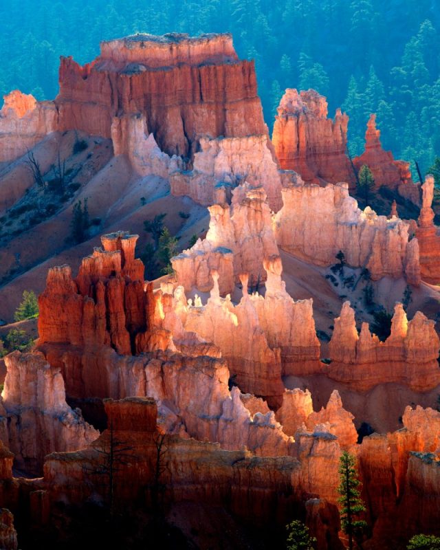 Beautiful,Colours,In,The,Canyon,,Bryce,Canyon,National,Park,,Utah,