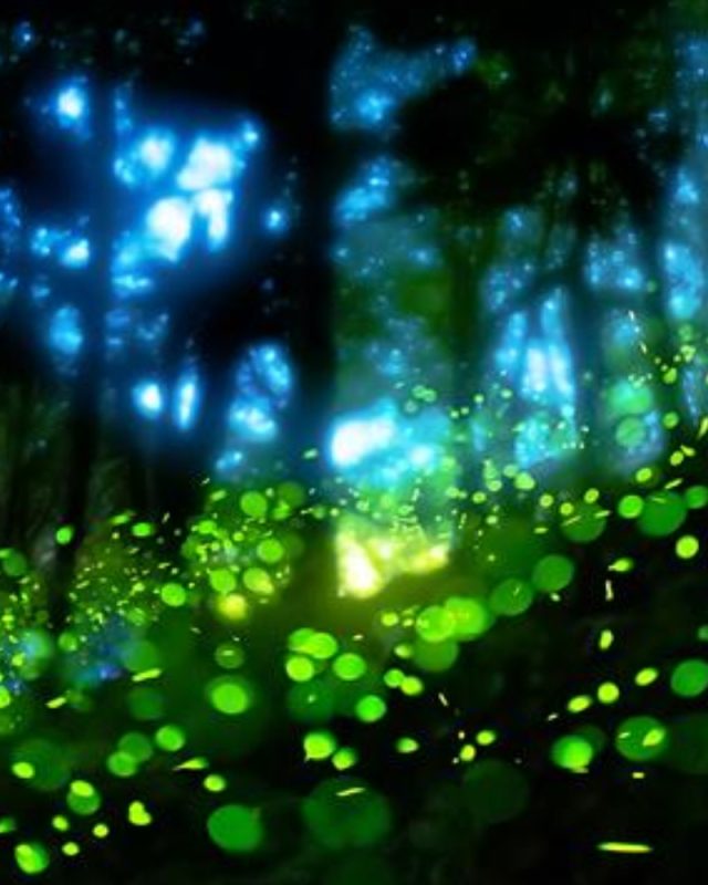 chamber-middle-east-awards-bahrain