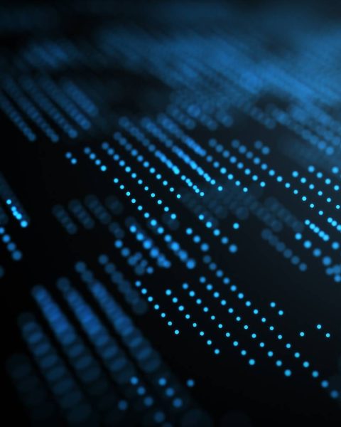 online-litigation