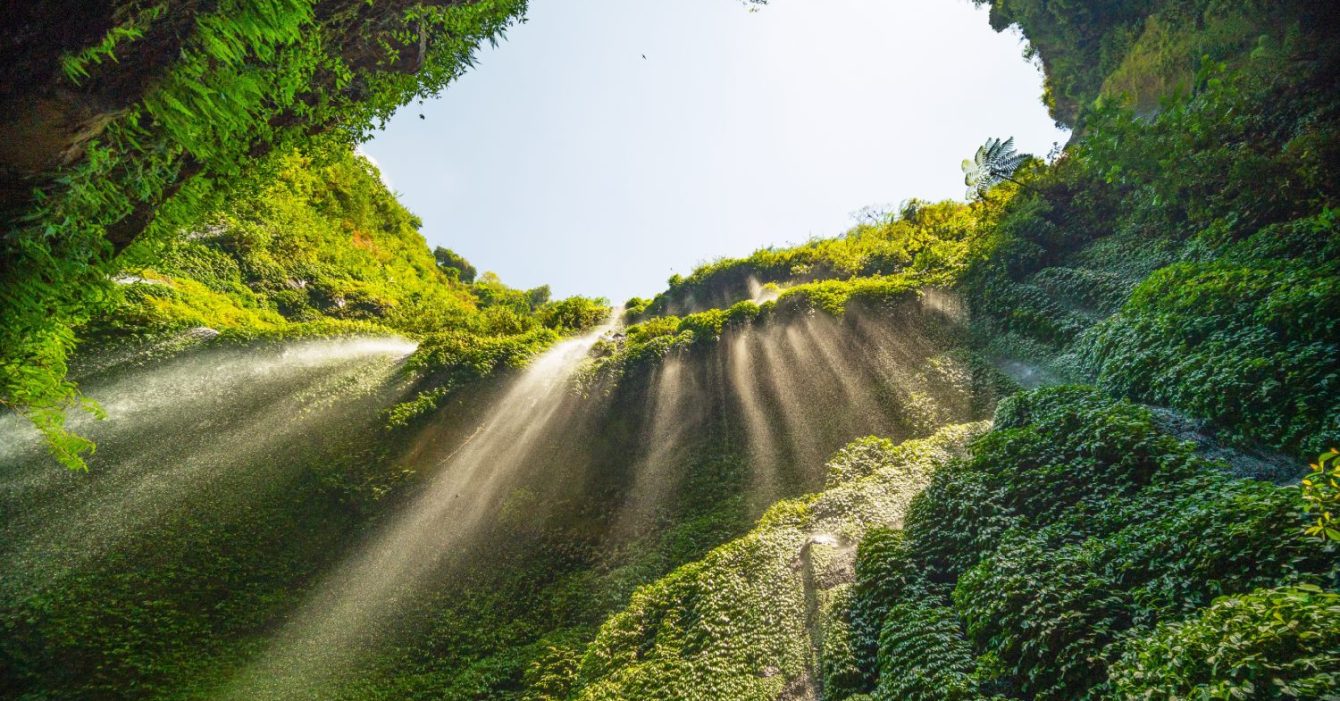 Beautiful,Waterfalls,In,Sunny,Day,bottom,View,Madakaripura,Waterfall,Is,The