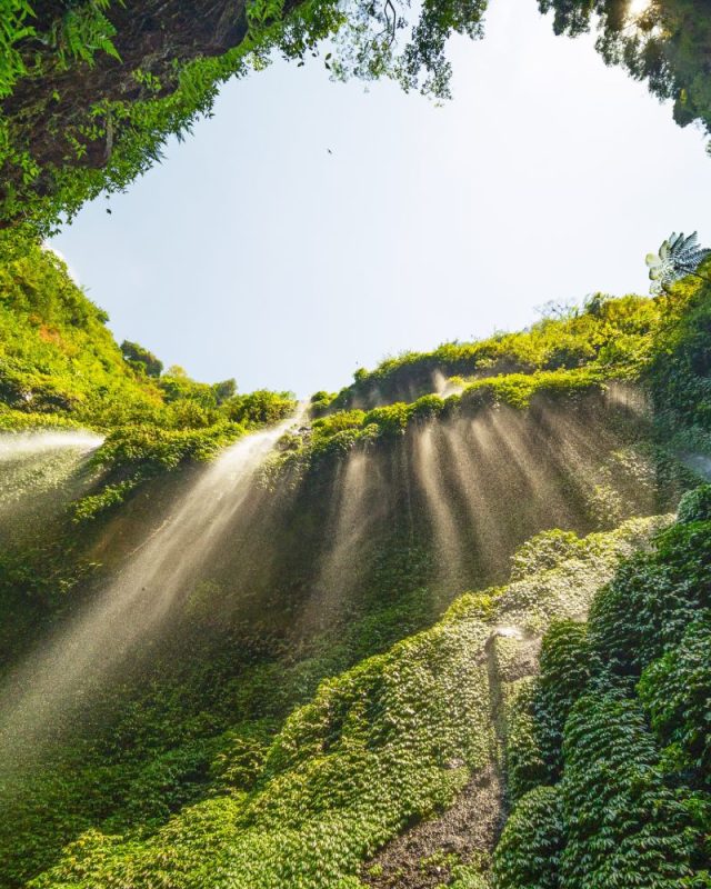 Beautiful,Waterfalls,In,Sunny,Day,bottom,View,Madakaripura,Waterfall,Is,The